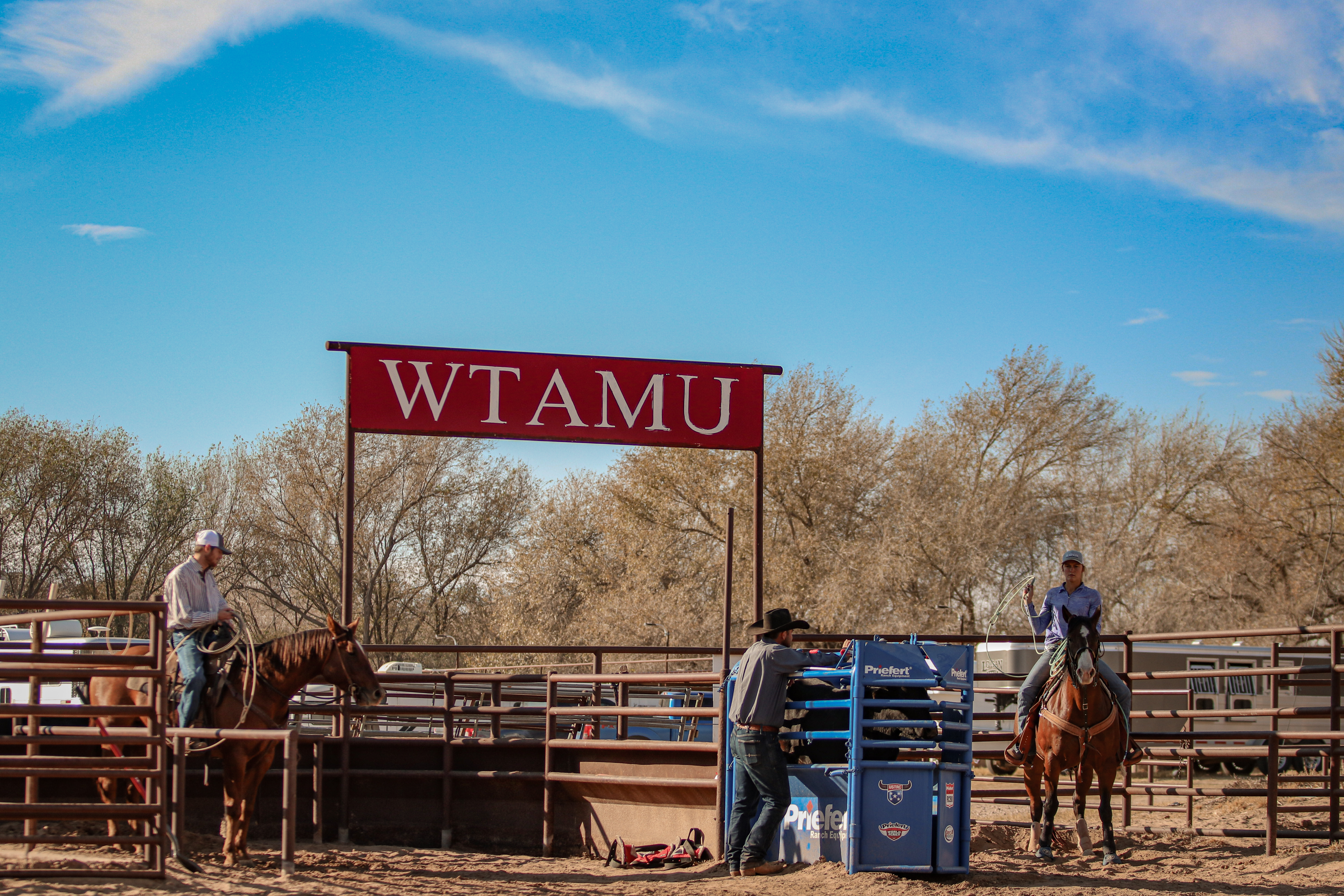 Image of Rodeo Team Stable